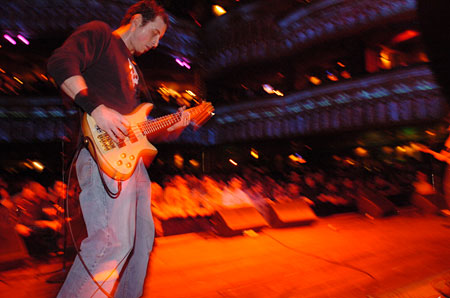 Shotgun Elvis Shotgun Elvis
